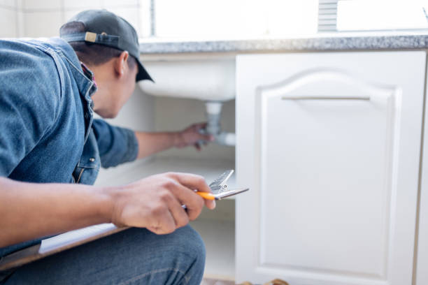 Best Septic Systems  in Constantine, MI