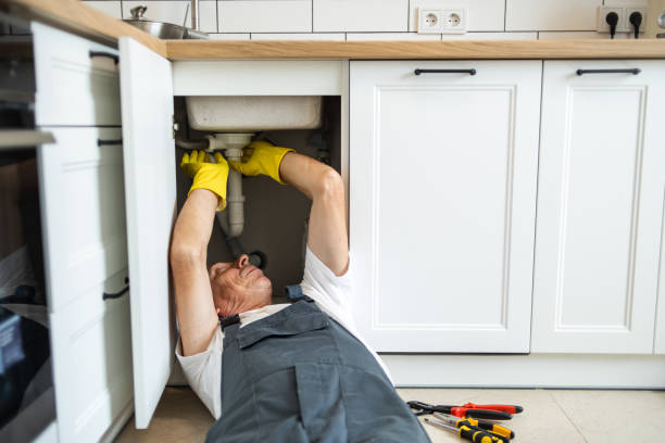  Constantine, MI Plumbing Pros